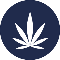 Cannabis plant icon